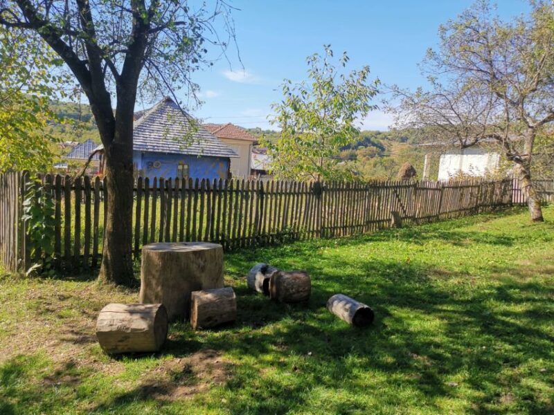 From Bucharest: Carpathian Villages and Sinaia Day Trip - Why This Tour Works Well for You