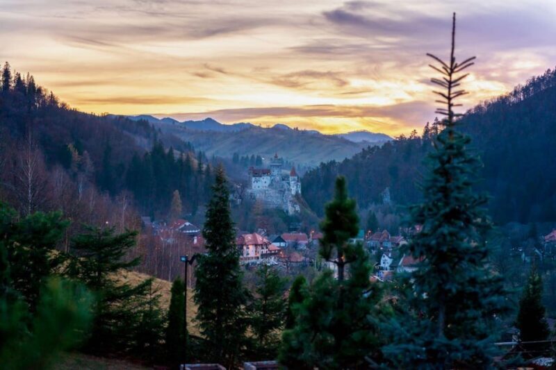 From Bucharest: Dracula's Castle & Bear Sanctuary Adventure - A Deep Dive into the Experience