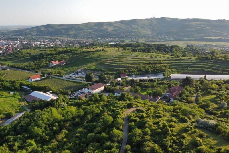 From Bucharest: Exclusive Dealu Mare Wine Tasting Tour - Final Thoughts: Who Will Love This Tour?