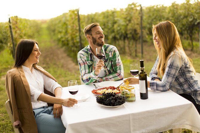 From Bucharest: Exclusive Wine Tasting Tour in Dealu Mare - From Bucharest: Exclusive Wine Tasting Tour in Dealu Mare