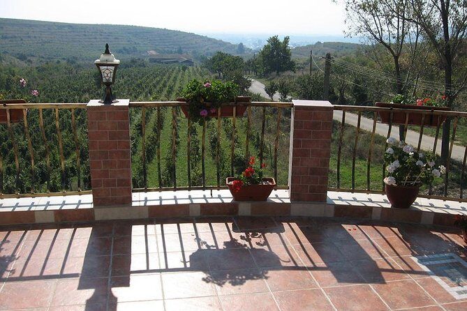 From Bucharest: Exclusive Wine Tasting Tour in Dealu Mare - Who Will Love This Experience?
