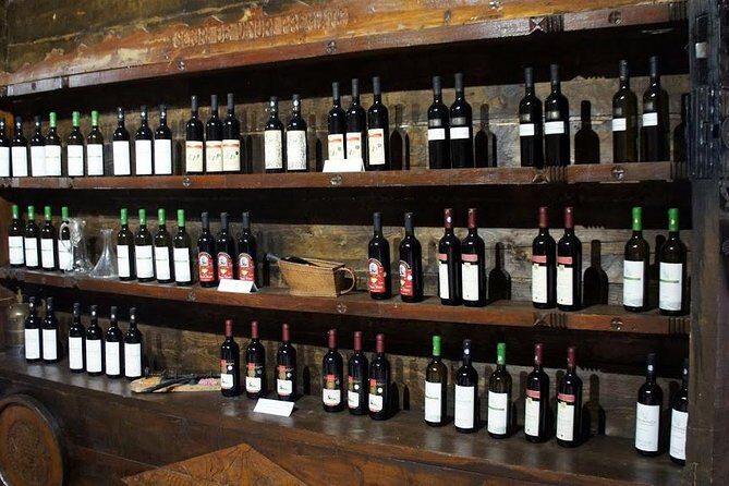 From Bucharest: Exclusive Wine Tasting Tour in Dealu Mare - The Sum Up