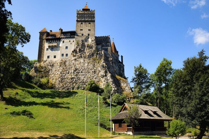 From Bucharest: Libearty Bear Sanctuary and Dracula's Castle - Exploring the Details: What You Can Expect