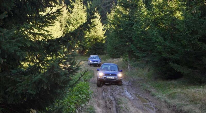 From Bucharest: Off-Road in the Carpathian Mountains - Discovering the Carpathian Wilderness: A Full Breakdown