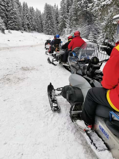 From Bucharest: Snowmobile Tour in the Carpathian Mountains - An In-Depth Look at the Snowmobile and Mountain Adventure