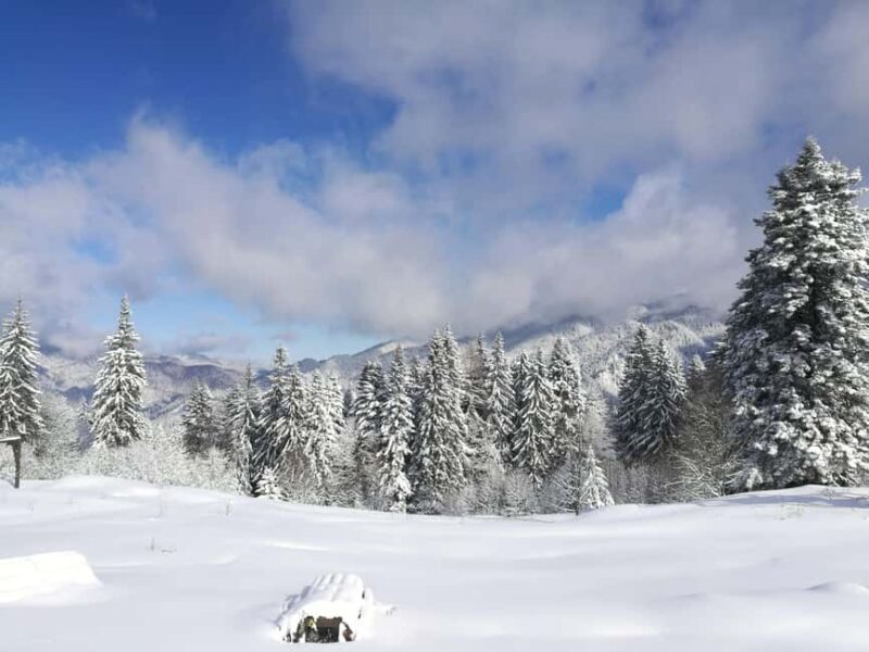 From Bucharest: Snowmobile Tour in the Carpathian Mountains - Final Thoughts: Is It Worth It?