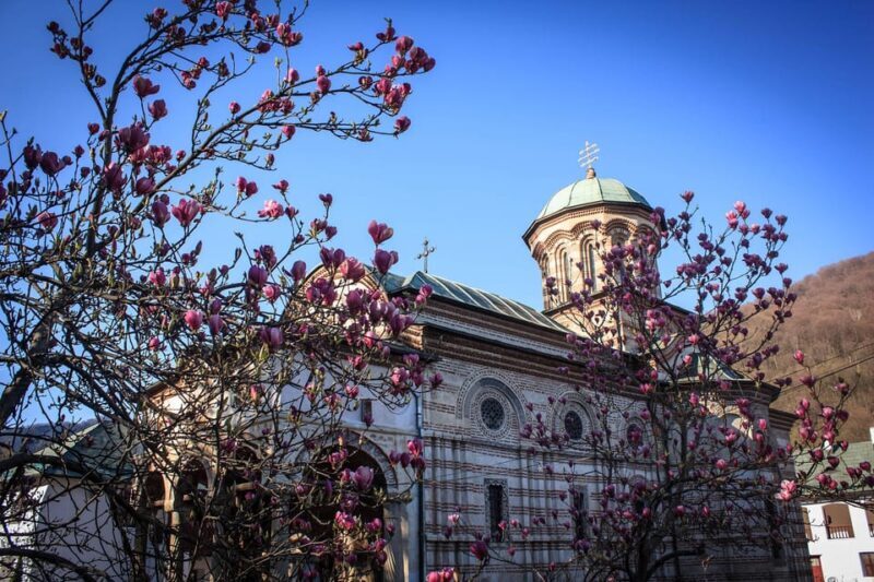 From Bucharest: Unravel Medieval Transylvania in 3-Day Tour - Who Will Love This Experience?