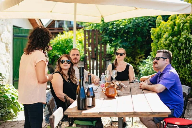 From Budapest: Etyek Wine Tasting Tour with 3-Course Meal - Who Will Love This Tour?