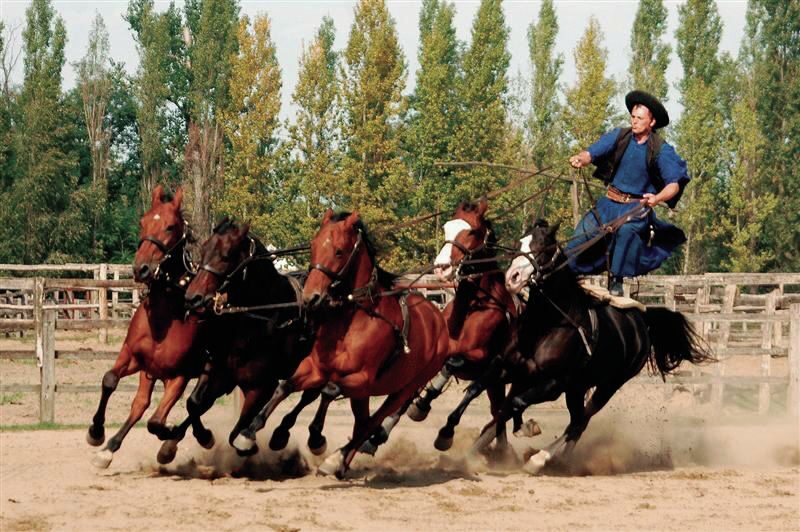 From Budapest: Full-Day Puszta Tour with Lunch and Show - Who Will Love This Tour?