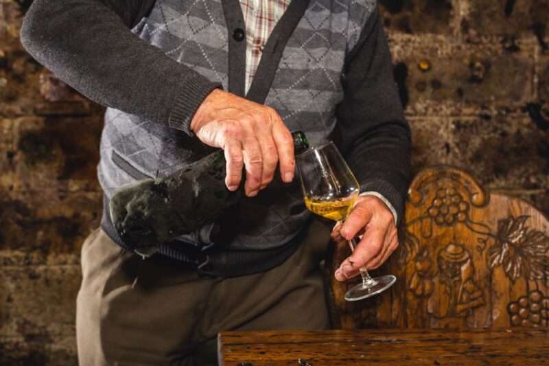 From Budapest: Mátra Hills Wine Tour - A Deep Dive into the Mátra Hills Wine Tour
