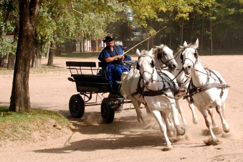From Budapest: Puszta Horse Show and Countryside Visit - FAQ