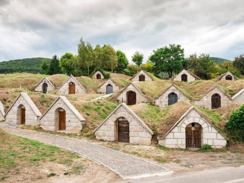 From Budapest: Tokaj Wine Tour with Tasting and Lunch - The Sum Up