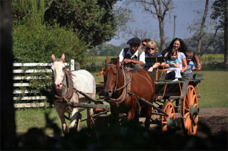 From Buenos Aires: Estancia Don Silvano Tour with Lunch. - Who Would Love This Tour?