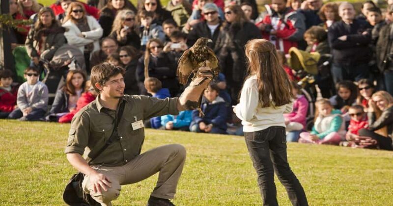 From Buenos Aires: Full-Day Temaiken Eco Park - FAQ