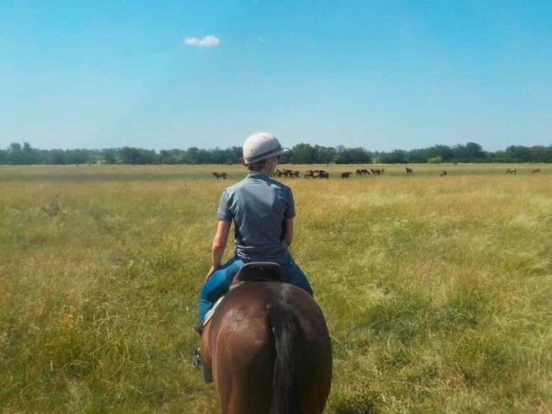From Buenos Aires: Horseback Riding with BBQ - An In-Depth Look at the Experience