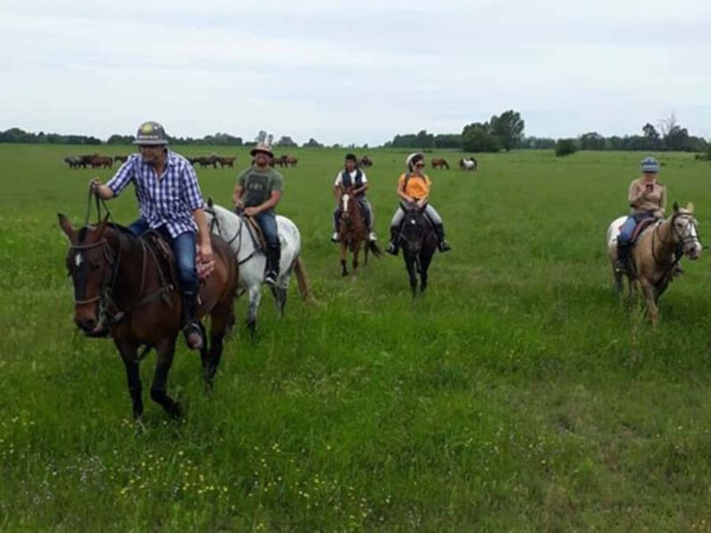 From Buenos Aires: Horseback Riding with BBQ - The Sum Up