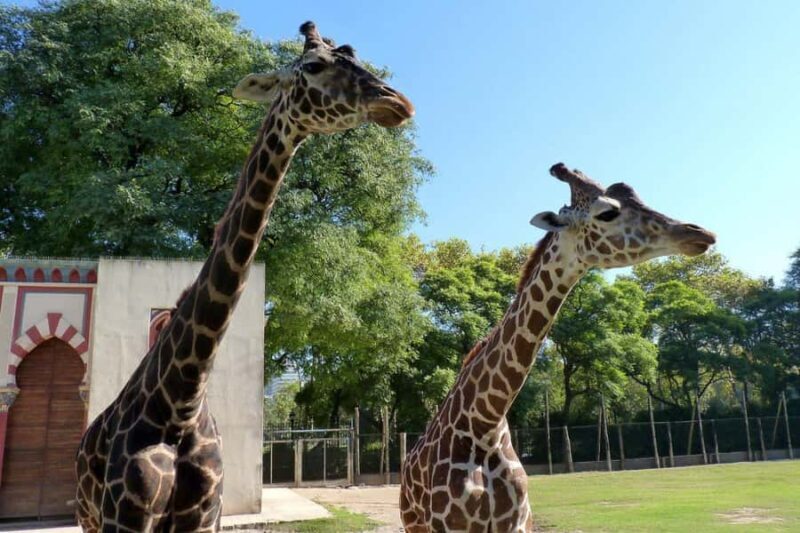From Buenos Aires: Temaiken Zoo Tour with Ticket Included - Discovering Temaikèn Zoo from Buenos Aires: A Well-Balanced Escape into Nature