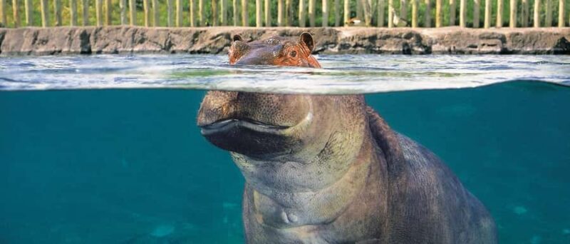 From Buenos Aires: Temaiken Zoo Tour with Ticket Included - Who Will Enjoy This Tour?