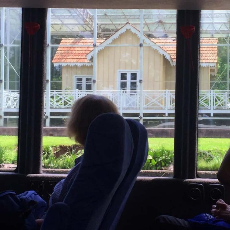 From Buenos Aires: Tigre & Delta with Sailing Premium Tour - Who Will Enjoy This Tour?