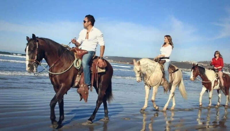 From Bufadora: Horseback Adventure - Who Should Consider This Tour?