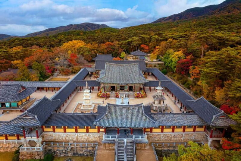 From Busan: Echoes of Silla Gyeongju Historical Day Tour - Who Should Consider This Tour?