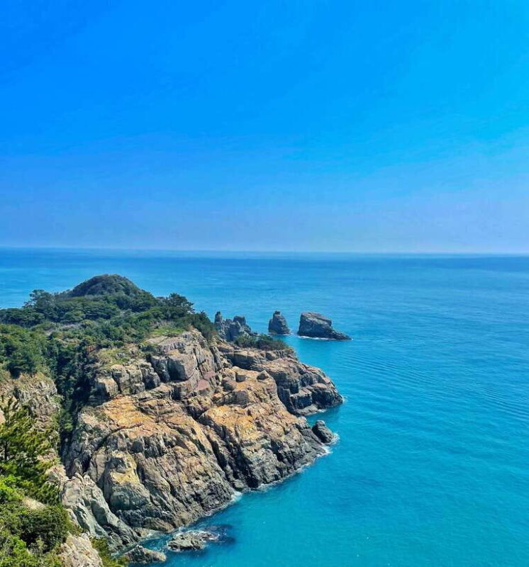 From Busan: Enchanting Oedo Island Day Tour with Windy Hill - A Closer Look at the Experience