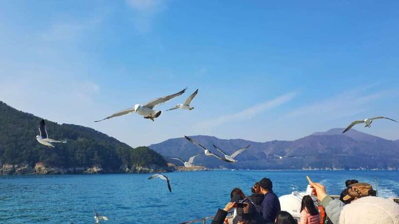 From Busan: Enchanting Oedo Island Day Tour with Windy Hill - FAQ