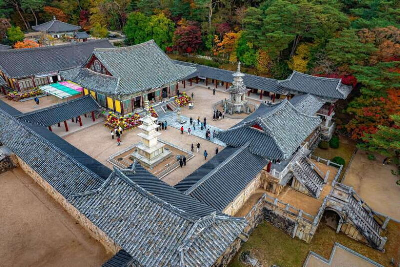 From Busan: Gyeongju Full-Day Historical Tour - Why This Tour Offers Great Value