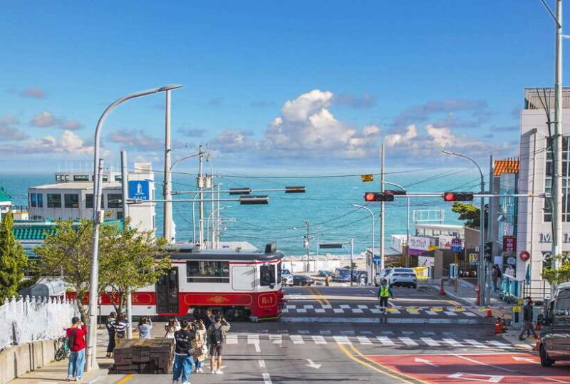 From Busan: Gyeongju Historical Day Tour with Sky Capsule - A Deep Dive into the Experience