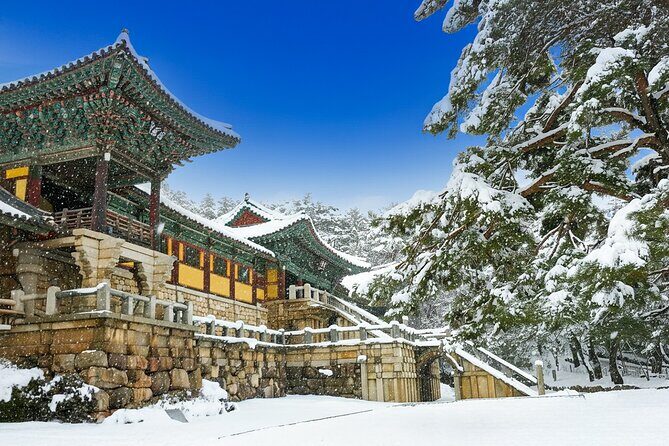 From Busan to Gyeongju UNESCO Legacy Tour with National Museum - Key Points