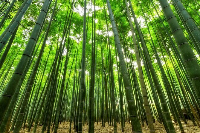 From Busan to Gyeongju UNESCO Legacy Tour with National Museum - Final Thoughts: Who Should Book This Tour?