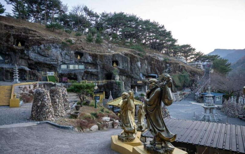 From Busan: Ulsan Full-Day Private Tour with Licensed Guide - Who Should Consider This Tour?