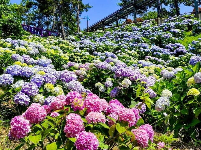 From Busan: Ulsan Full-Day Private Tour with Licensed Guide - Final Thoughts