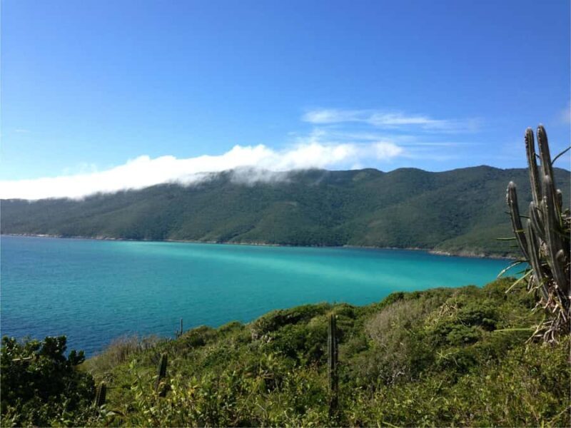 From Búzios: Arraial do Cabo and Cabo Frio Day Trip - Analyzing the Value