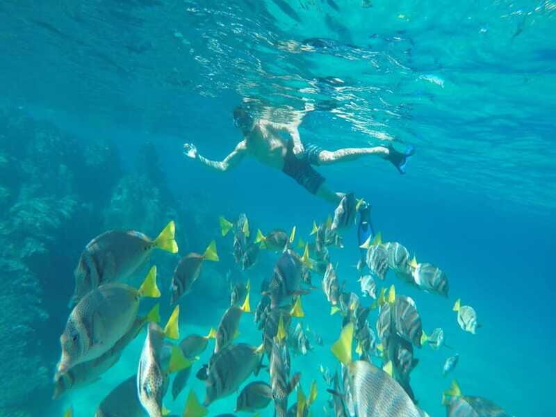 From Cabo San Lucas: Lovers Beach and El Arco Boat Trip - How to make the most of your day