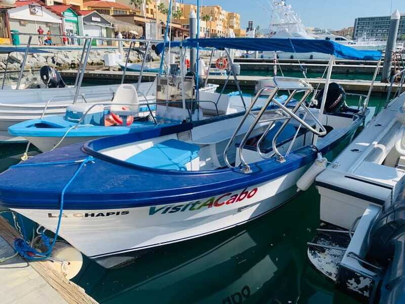 From Cabo San Lucas: Lovers Beach and El Arco Boat Trip - Who will love this tour?
