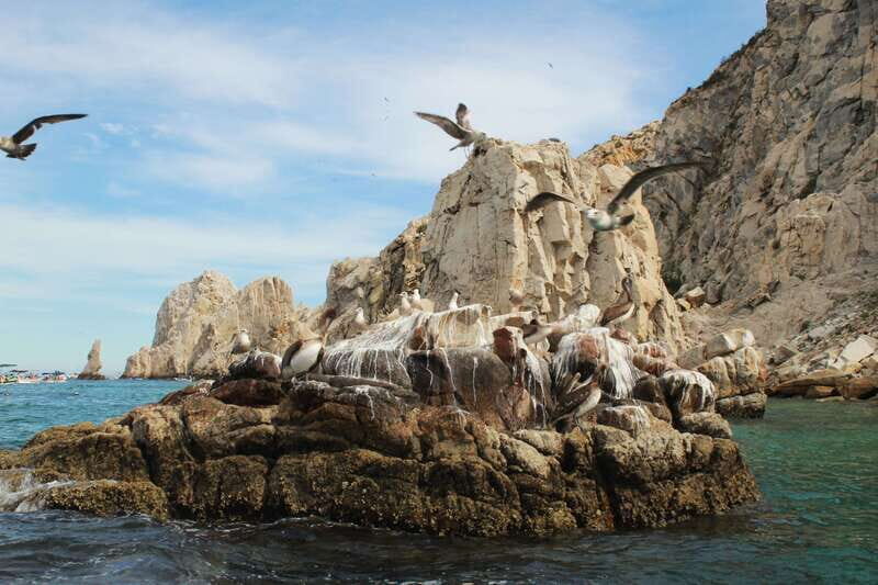 From Cabo San Lucas: Lovers Beach and El Arco Boat Trip - FAQs