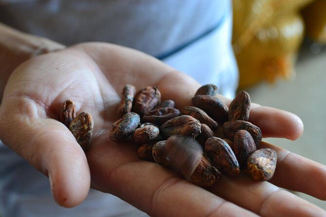 From Cacao to Chocolate: Private Tour in Manta - An Authentic Exploration of Manta’s Food Scene