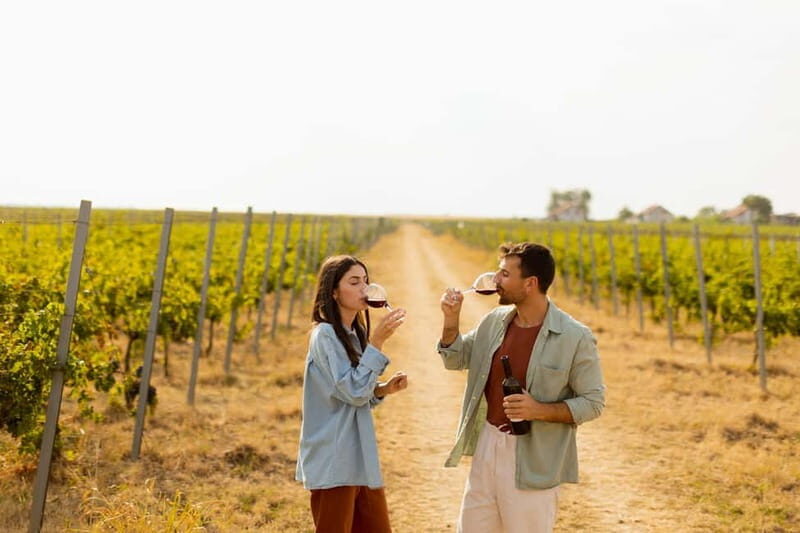 From Cádiz: Chiclana de la Frontera Winery Tour with Lunch - Final Thoughts: Is This Tour Right for You?