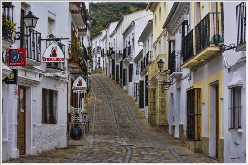 From Cadiz: Private Tour of Cadiz and Jerez de la Frontera - Key Points