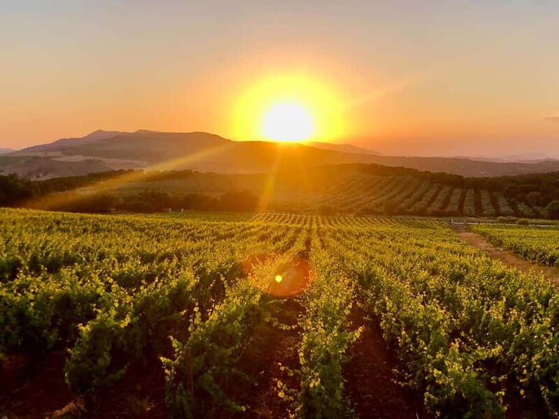 From Cádiz: Ronda Premium Private Day Tour with Wine Tasting - The Journey in Detail: What You Can Expect
