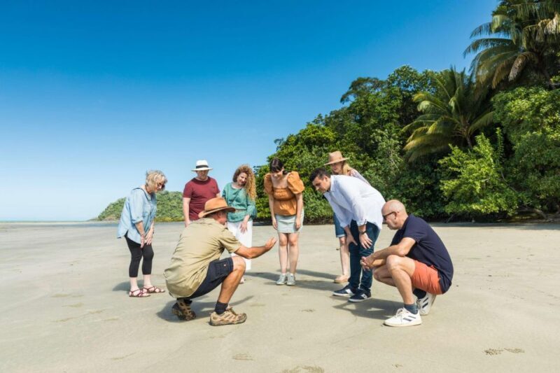 From Cairns: 3-Day Reef, Rainforest, and Outback Package - Key Points