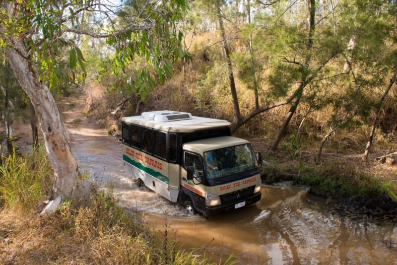 From Cairns: 3-Day Reef, Rainforest, and Outback Package - A Practical Look at the 3-Day Cairns Experience
