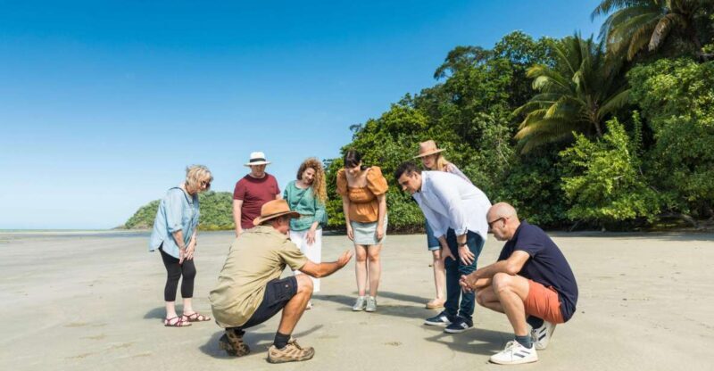 From Cairns: 3-Day Reef, Rainforest, and Outback Package - Who Will Benefit Most from This Tour?