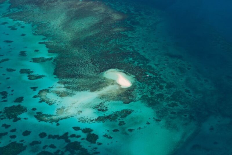 From Cairns: 40-Min Scenic Reef Window Seat Airplane Flight - Final Thoughts