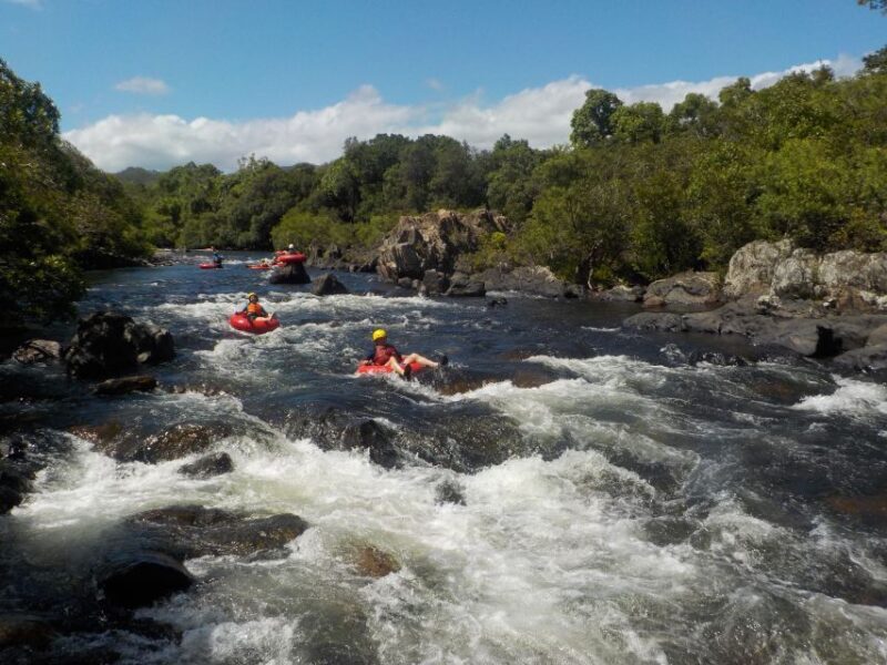 From Cairns and Northern Beaches: Rainforest River Tubing - Why This Tour Is Worth Considering
