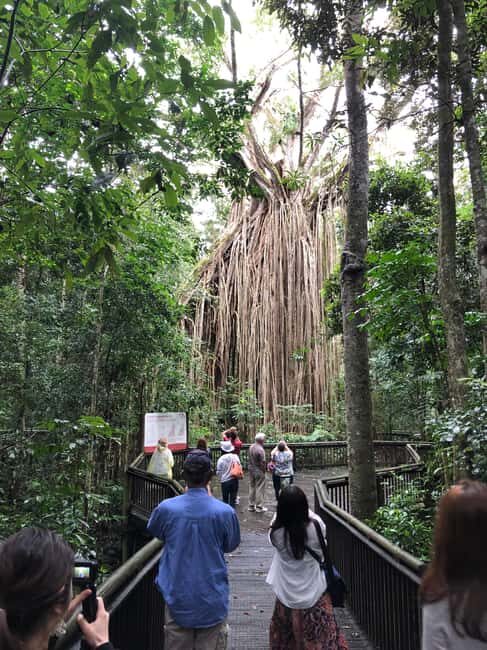 From Cairns: Atherton Tablelands and Paronella Park Day Trip - FAQs