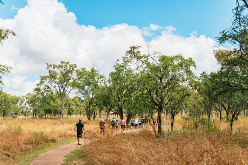 From Cairns: Chillagoe Caves and Outback Full-Day Tour - What the Tour Means for You