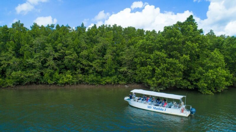 From Cairns: Daintree Rainforest & Cape Tribulation 4WD Tour - Key Points