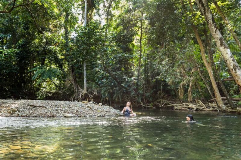 From Cairns: Daintree Rainforest & Cape Tribulation 4WD Tour - Who Will Love This Tour?